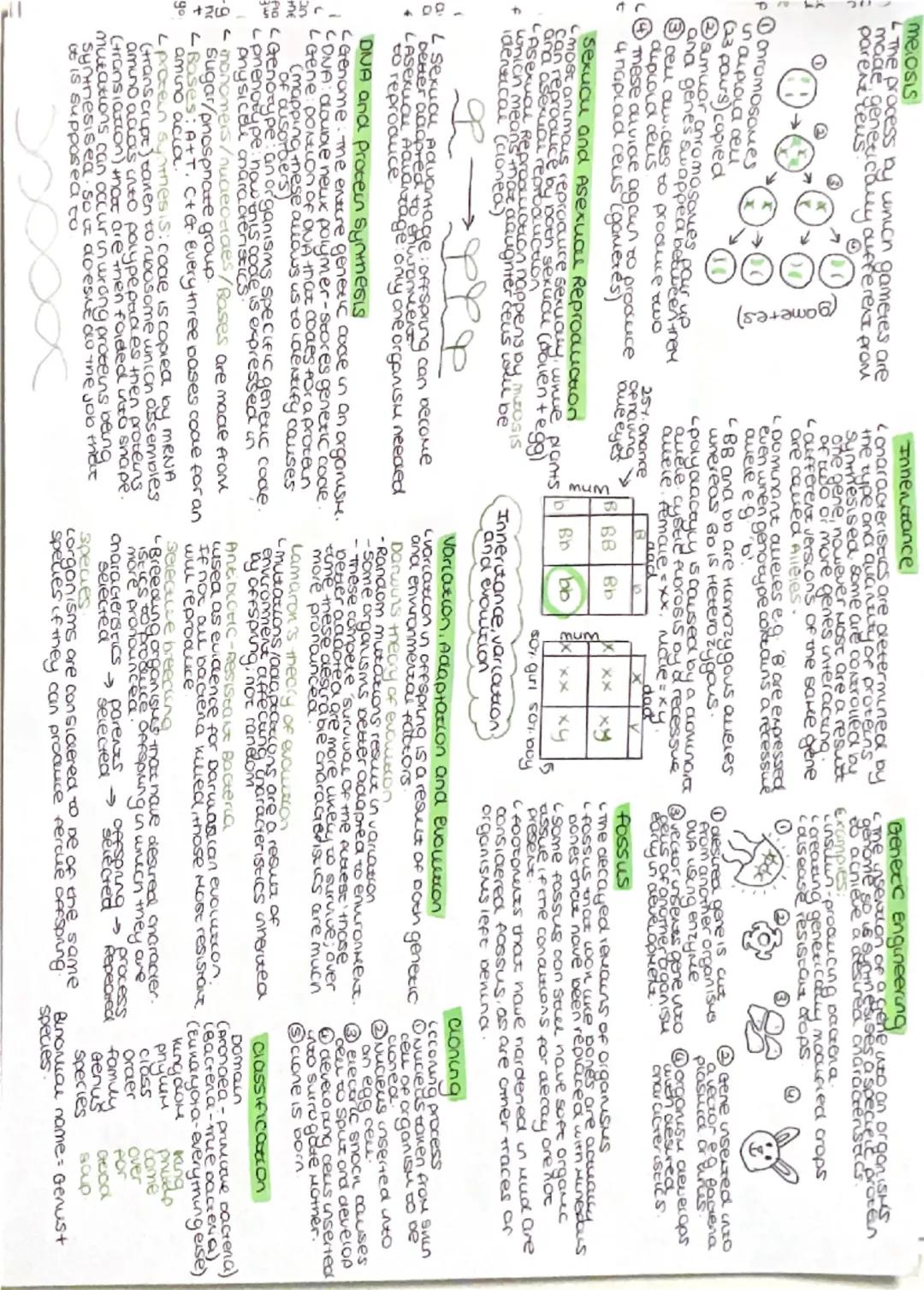 pachogens
pornogens are microorganisms
that enter the body anatause
ausease communicasie ouseases
are infectious ouseases oncut
can be easil