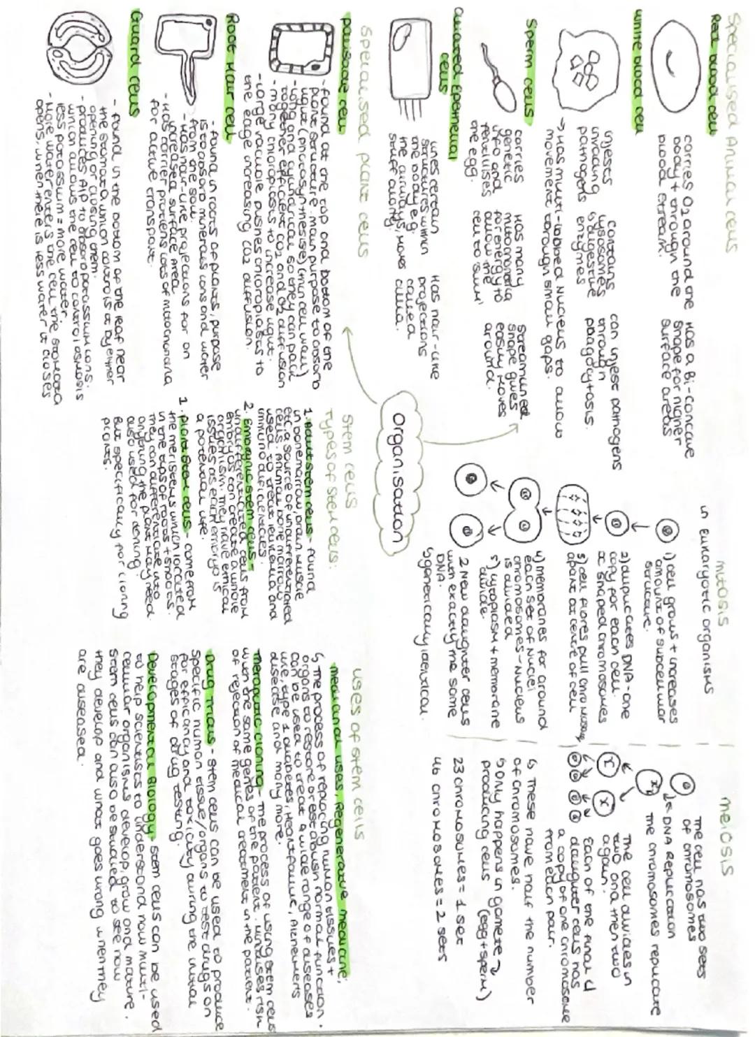 pachogens
pornogens are microorganisms
that enter the body anatause
ausease communicasie ouseases
are infectious ouseases oncut
can be easil