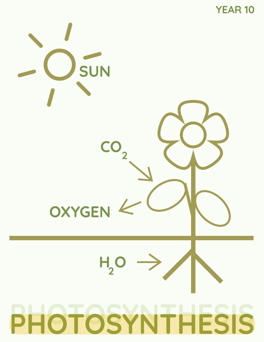 YEAR 10
RESPIRATION
RESPIRATION YEAR 10
PONDWEED
EXPERIMENT YEAR 10
COMPENSATION
POINT C
SUN
CO
OXYGEN
2
k
H₂O →
но
YEAR 10
PHOTOSYNTHESIS C