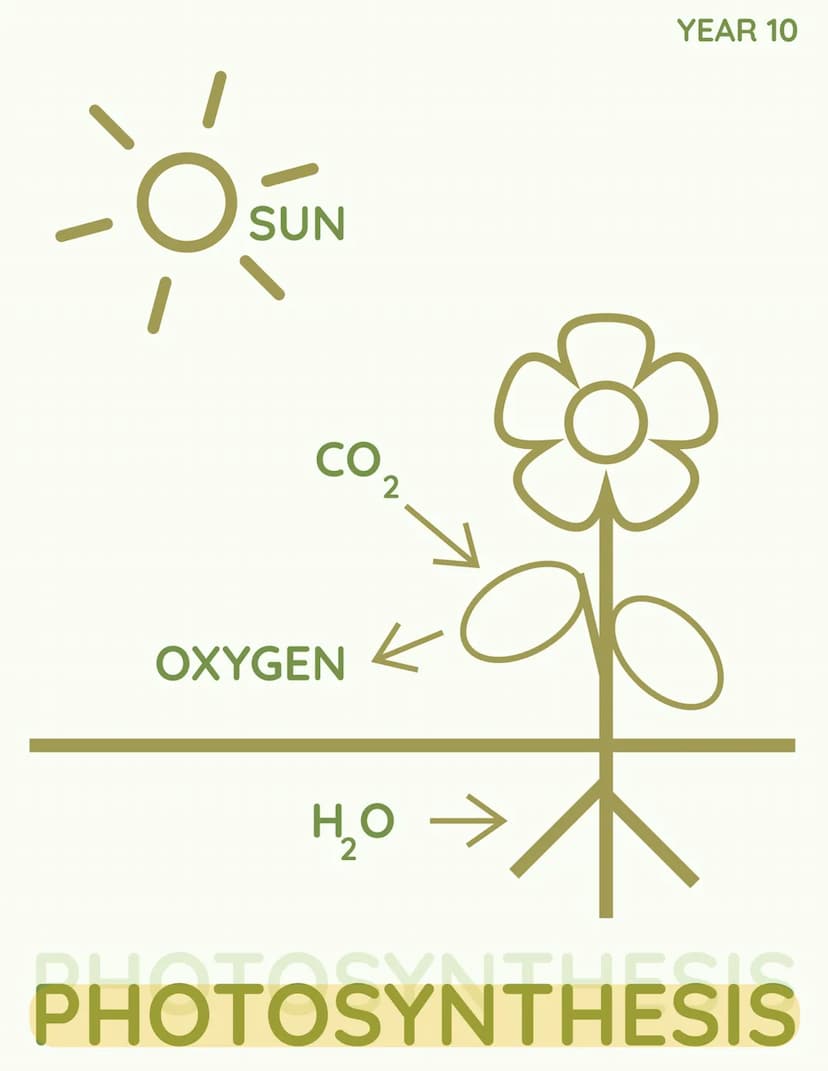 YEAR 10
RESPIRATION
RESPIRATION YEAR 10
PONDWEED
EXPERIMENT YEAR 10
COMPENSATION
POINT C
SUN
CO
OXYGEN
2
k
H₂O →
но
YEAR 10
PHOTOSYNTHESIS C