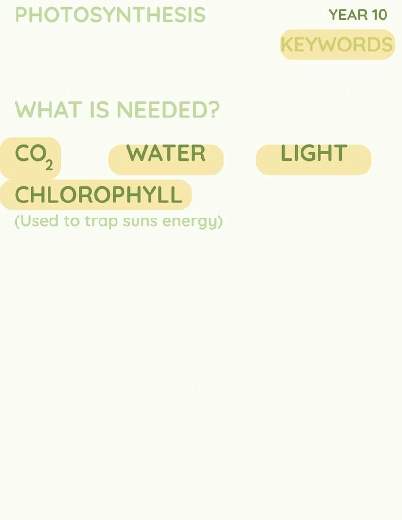 YEAR 10
RESPIRATION
RESPIRATION YEAR 10
PONDWEED
EXPERIMENT YEAR 10
COMPENSATION
POINT C
SUN
CO
OXYGEN
2
k
H₂O →
но
YEAR 10
PHOTOSYNTHESIS C