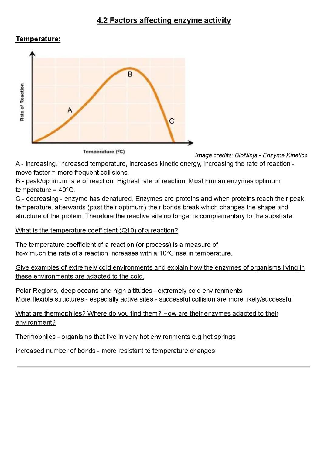 Factors affecting enzymes