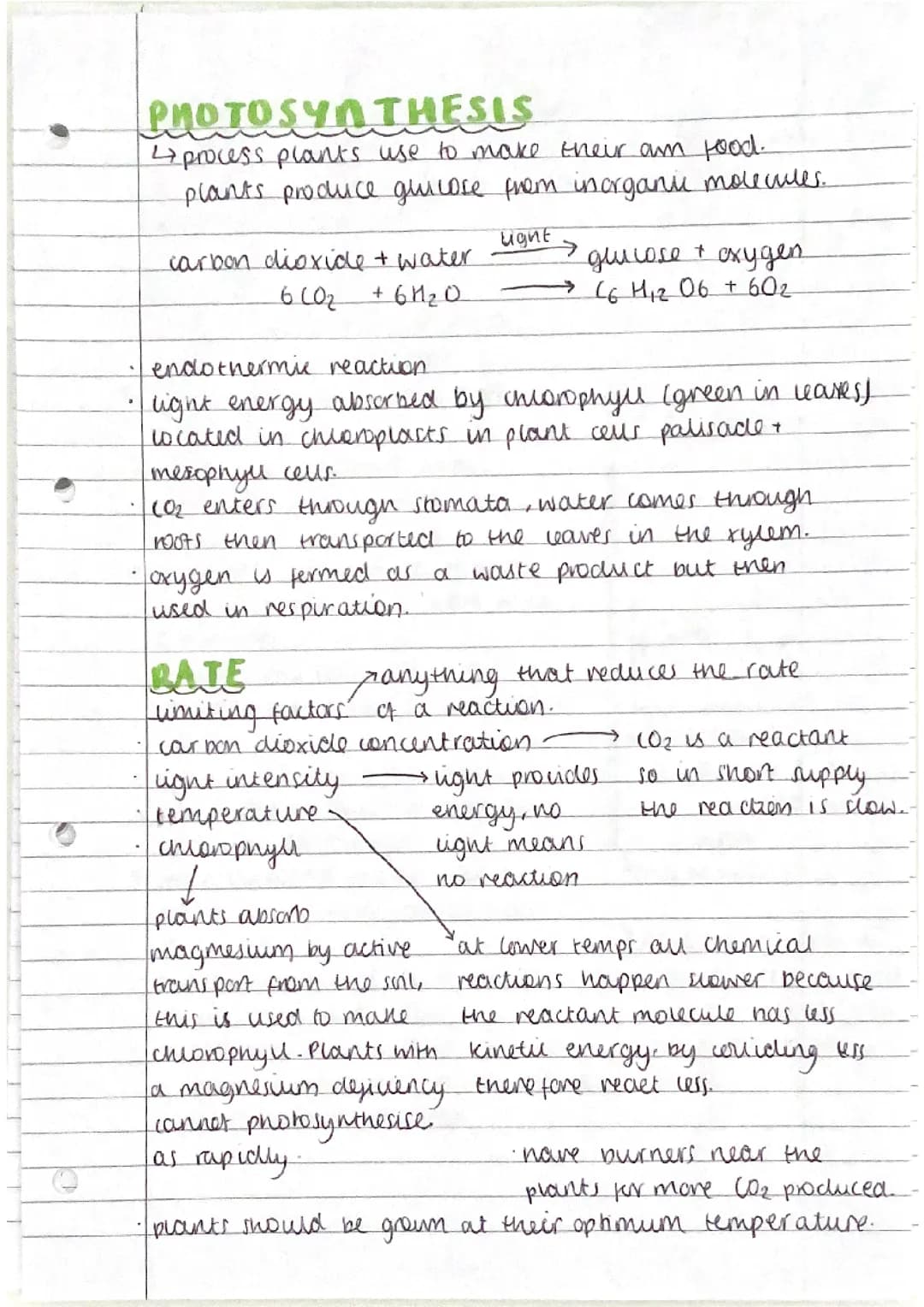 bioenergetics topic biology combined higher aqa paper 1