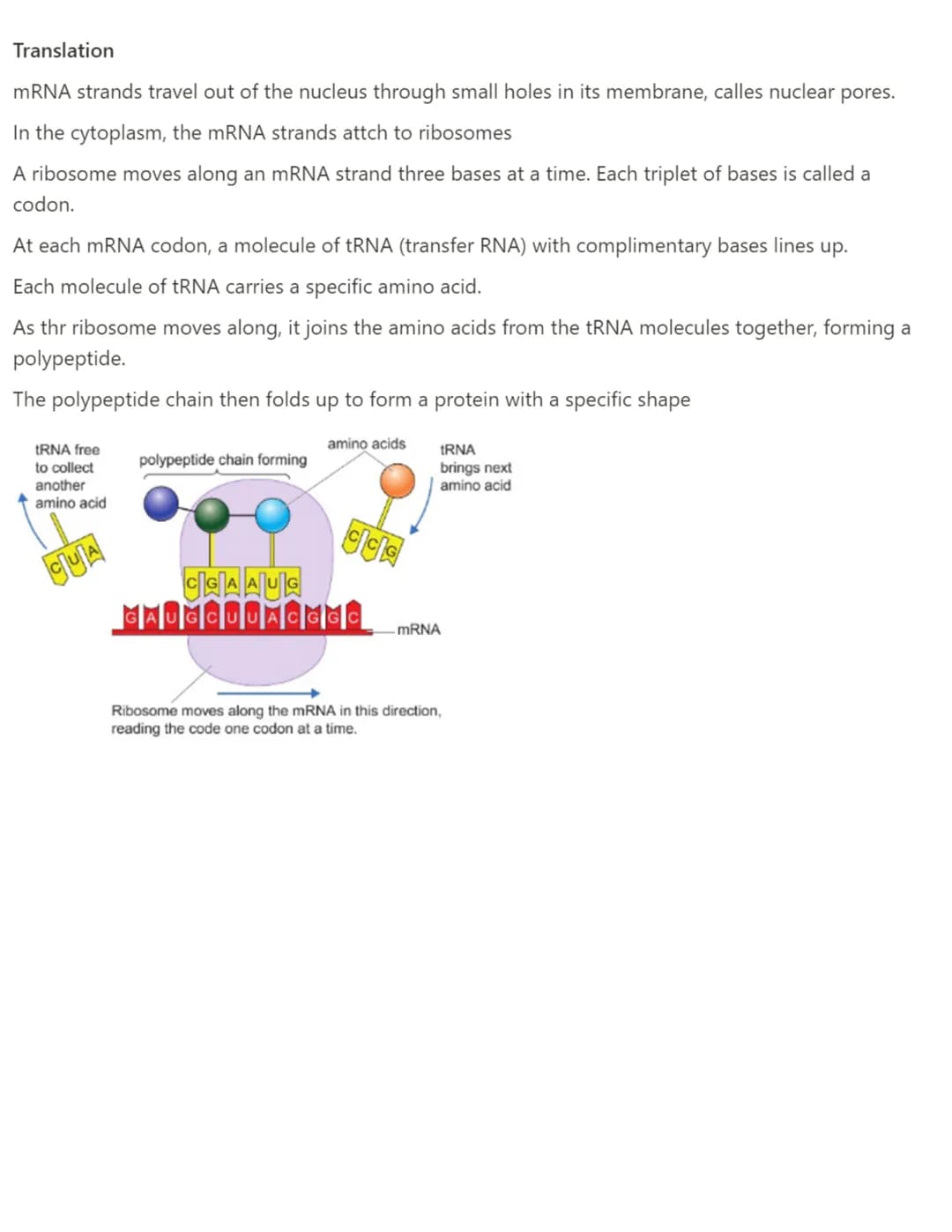 3.1- Sexual and asexual reproduction
Sexual reproduction involves fertalisation → most animals and plants
Sexual Reproduction → genetic vari