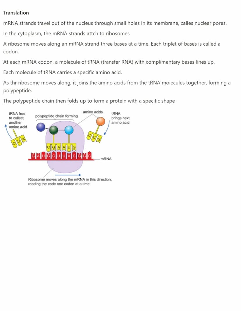 3.1- Sexual and asexual reproduction
Sexual reproduction involves fertalisation → most animals and plants
Sexual Reproduction → genetic vari