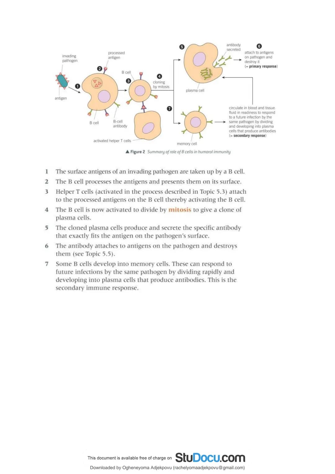 StuDocu.com
Immunity Section 2.5 notes AS Biology
Biology - A1 (Sixth Form (UK))
StuDocu is not sponsored or endorsed by any college or univ