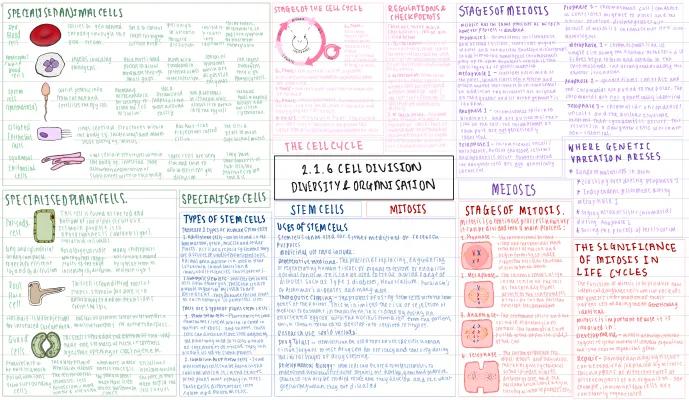 Know 2.1.6 cell division, diversity and organisation - A level Biology OCR-A thumbnail