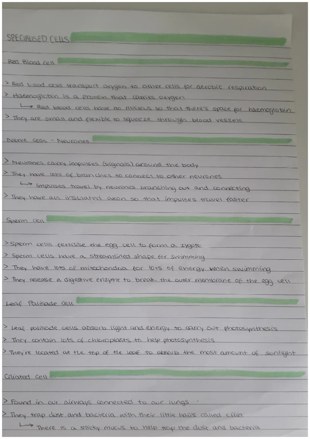 Free Revision Notes and Fun Learning for GCSE Physics, Biology, and Chemistry!