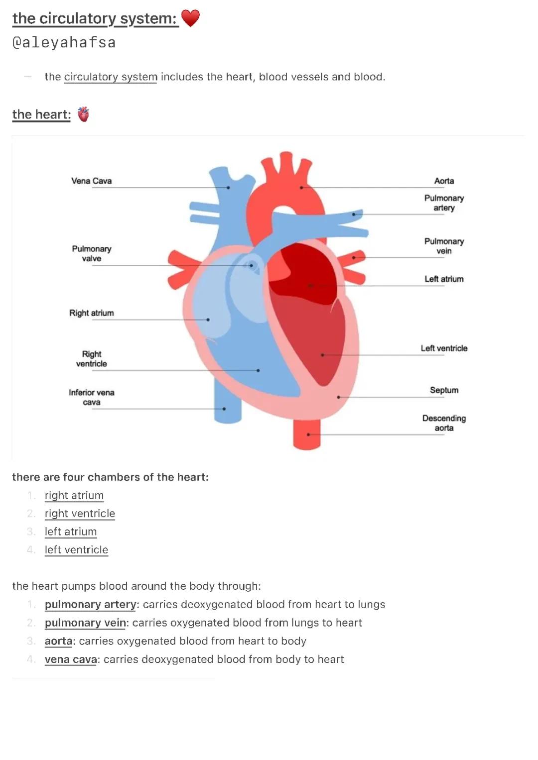 Blood Circulation in Heart: Easy Steps and Diagrams