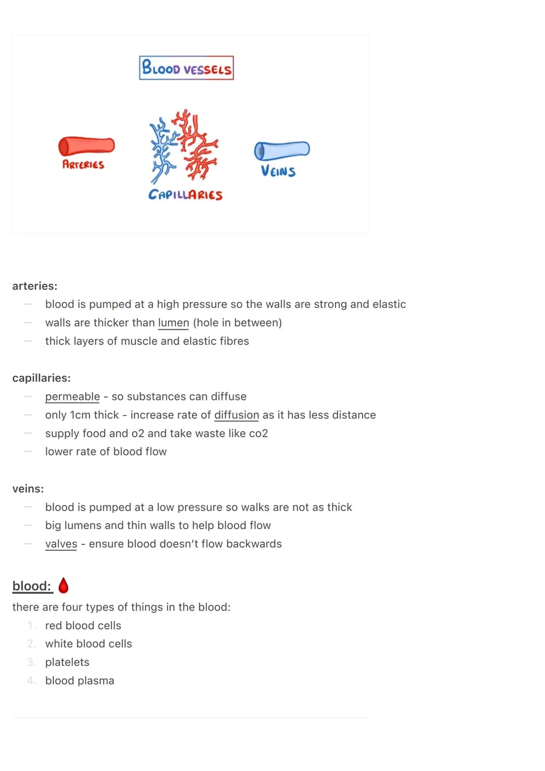 the circulatory system:
@aleyahafsa
the circulatory system includes the heart, blood vessels and blood.
the heart:
Vena Cava
Pulmonary
valve