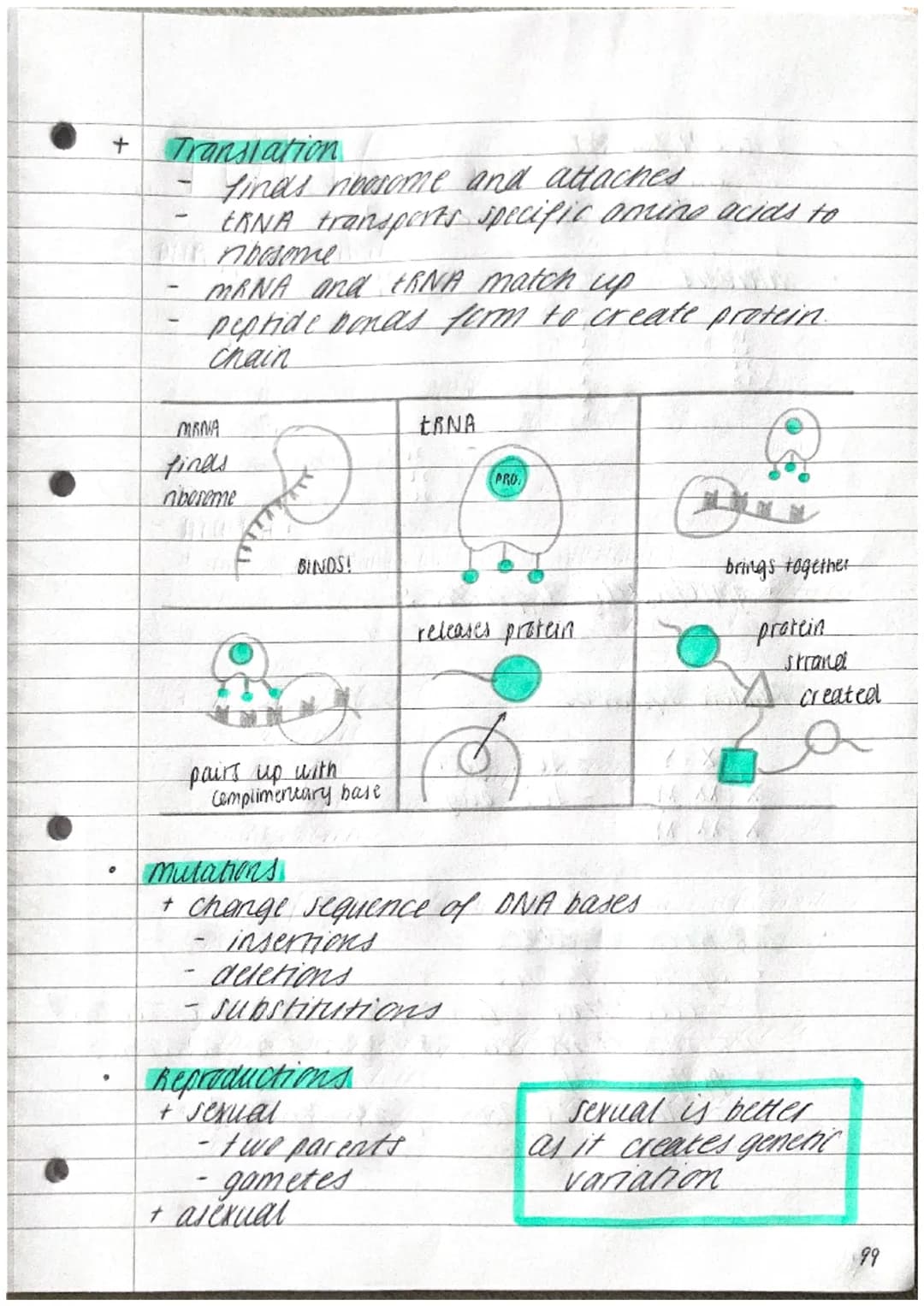 P
TOPIC 6.
- where is it?
DNA
①
+ AXT/GX C
Adenine
~ Thyrine
Guamine
cyracine
INHERITANCE,
VARIATION & EVOLUTION
- Structure.
+ made of repe