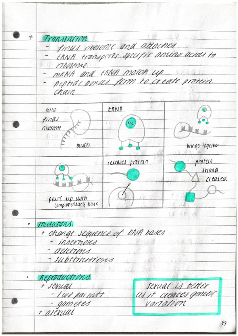 P
TOPIC 6.
- where is it?
DNA
①
+ AXT/GX C
Adenine
~ Thyrine
Guamine
cyracine
INHERITANCE,
VARIATION & EVOLUTION
- Structure.
+ made of repe