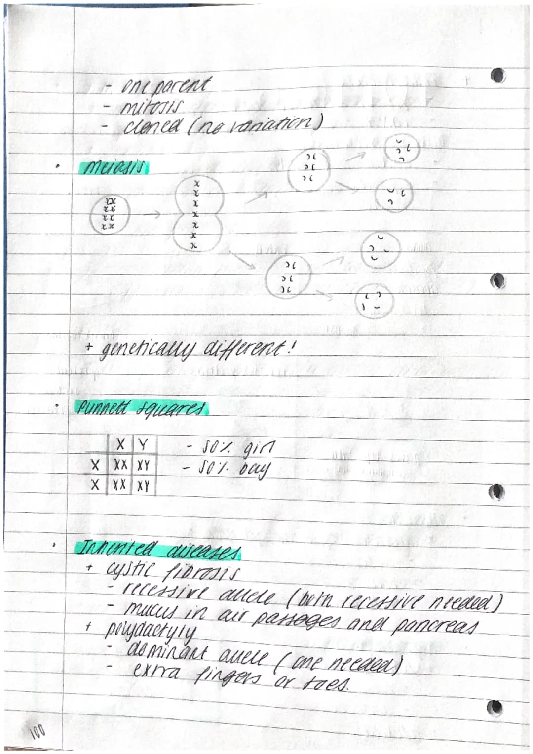 P
TOPIC 6.
- where is it?
DNA
①
+ AXT/GX C
Adenine
~ Thyrine
Guamine
cyracine
INHERITANCE,
VARIATION & EVOLUTION
- Structure.
+ made of repe