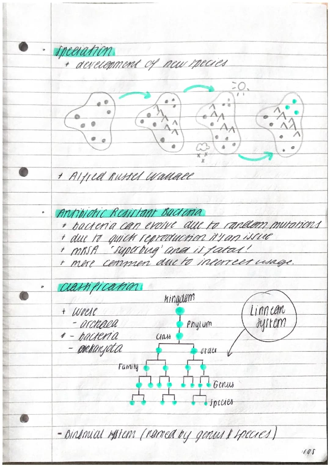 P
TOPIC 6.
- where is it?
DNA
①
+ AXT/GX C
Adenine
~ Thyrine
Guamine
cyracine
INHERITANCE,
VARIATION & EVOLUTION
- Structure.
+ made of repe