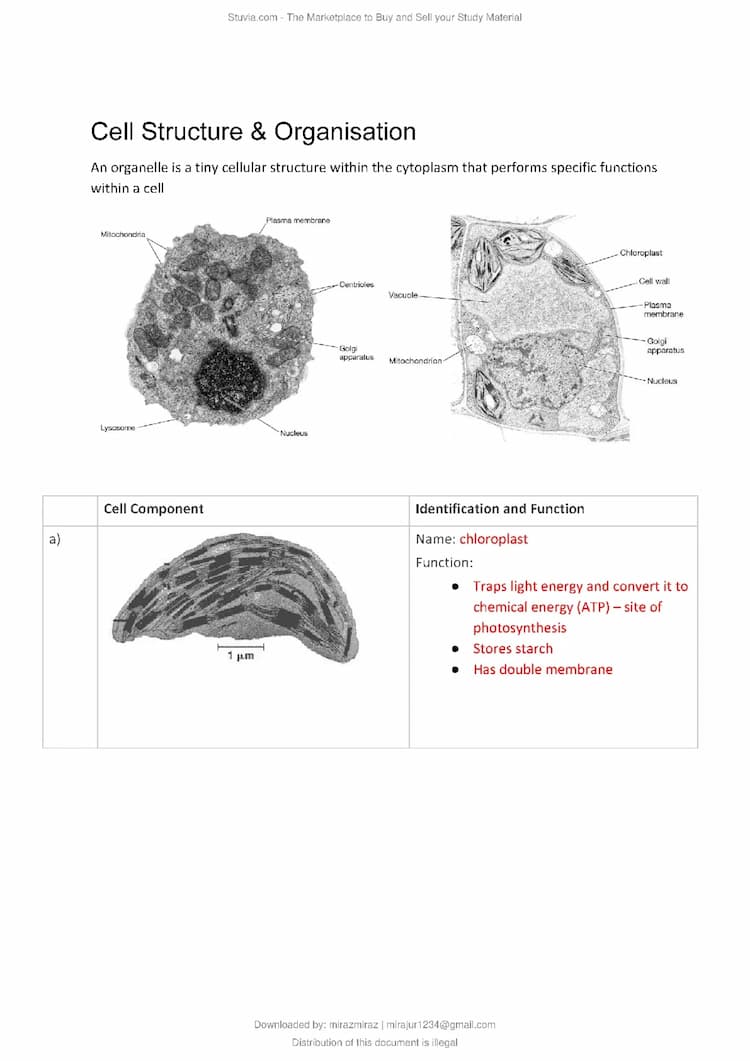 Know AP Biology Notes thumbnail