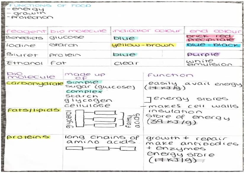 ENZYMES
-proteins
biological catalysts
-speed up
reach ons
optimum
37°C
PH
enzyme
carbonydrasel
ase
amylase
Tipase
protease
Temp
Fats
protei