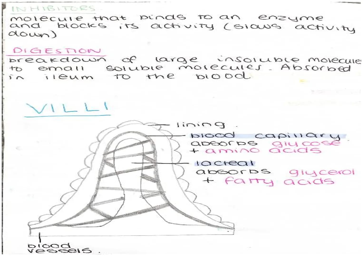 ENZYMES
-proteins
biological catalysts
-speed up
reach ons
optimum
37°C
PH
enzyme
carbonydrasel
ase
amylase
Tipase
protease
Temp
Fats
protei