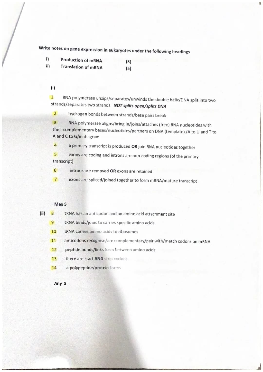 Describe DNA under the following headings
(9)
i)
Structure of DNA (5)
ii)
Replication of DNA (4)
1 double strand of nucleotides/double helix