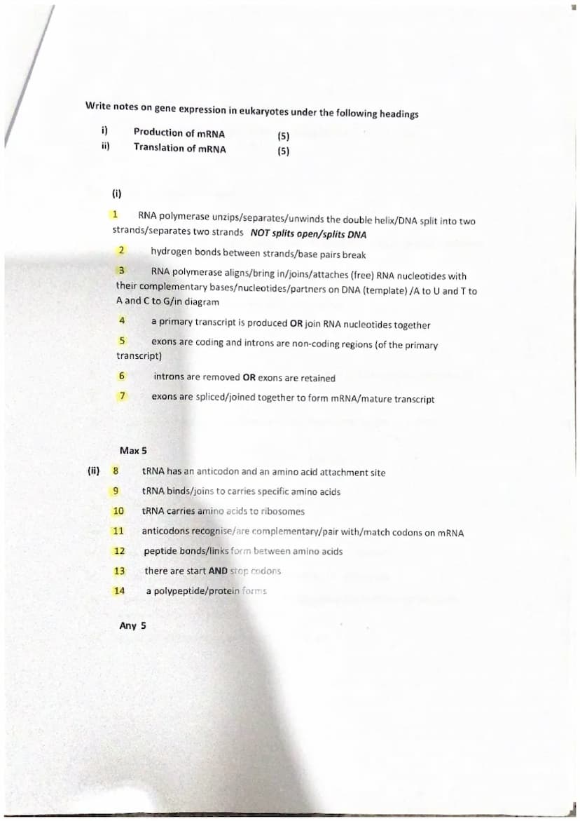 Describe DNA under the following headings
(9)
i)
Structure of DNA (5)
ii)
Replication of DNA (4)
1 double strand of nucleotides/double helix