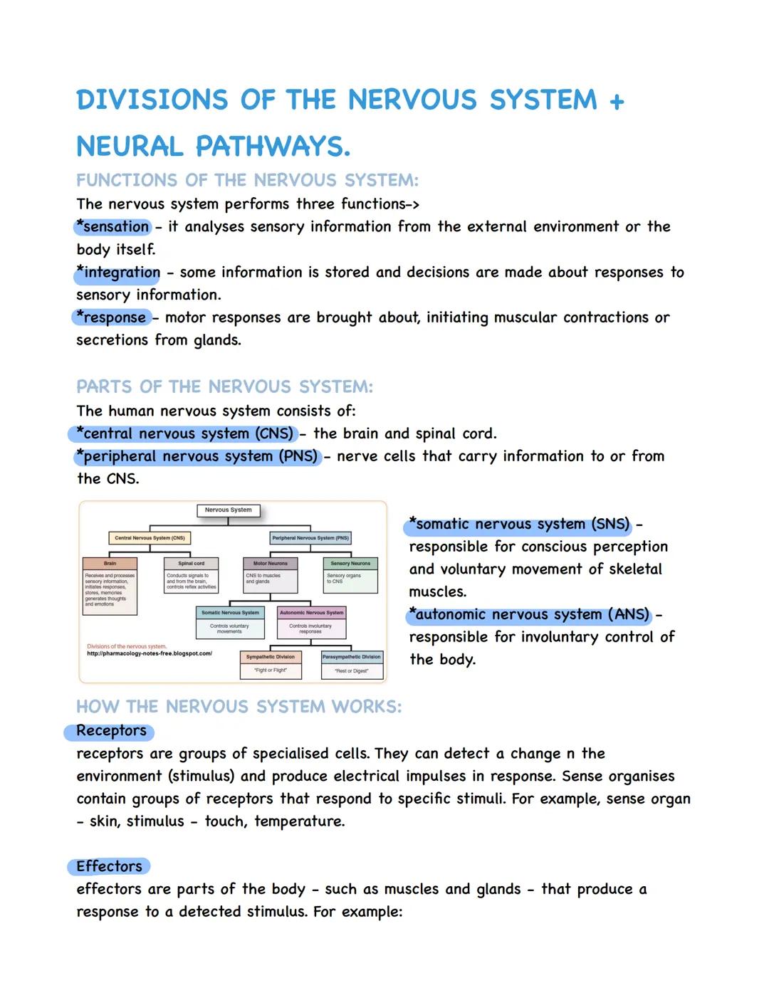 DIVISIONS OF THE NERVOUS SYSTEM +
NEURAL PATHWAYS.
FUNCTIONS OF THE NERVOUS SYSTEM:
The nervous system performs three functions->
*sensation
