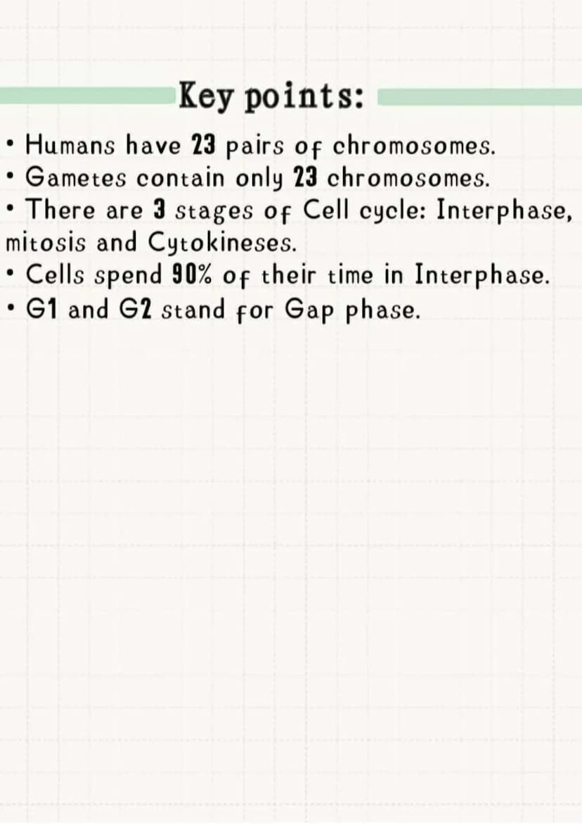 THE CELL CYCLE
Stage 3: Cytokinesis
(cell devides)
Stage 2:
Mitosis
(nuclear
devision to
form two
daughter
cells)
Cell Division
Mitosis
GO
C
