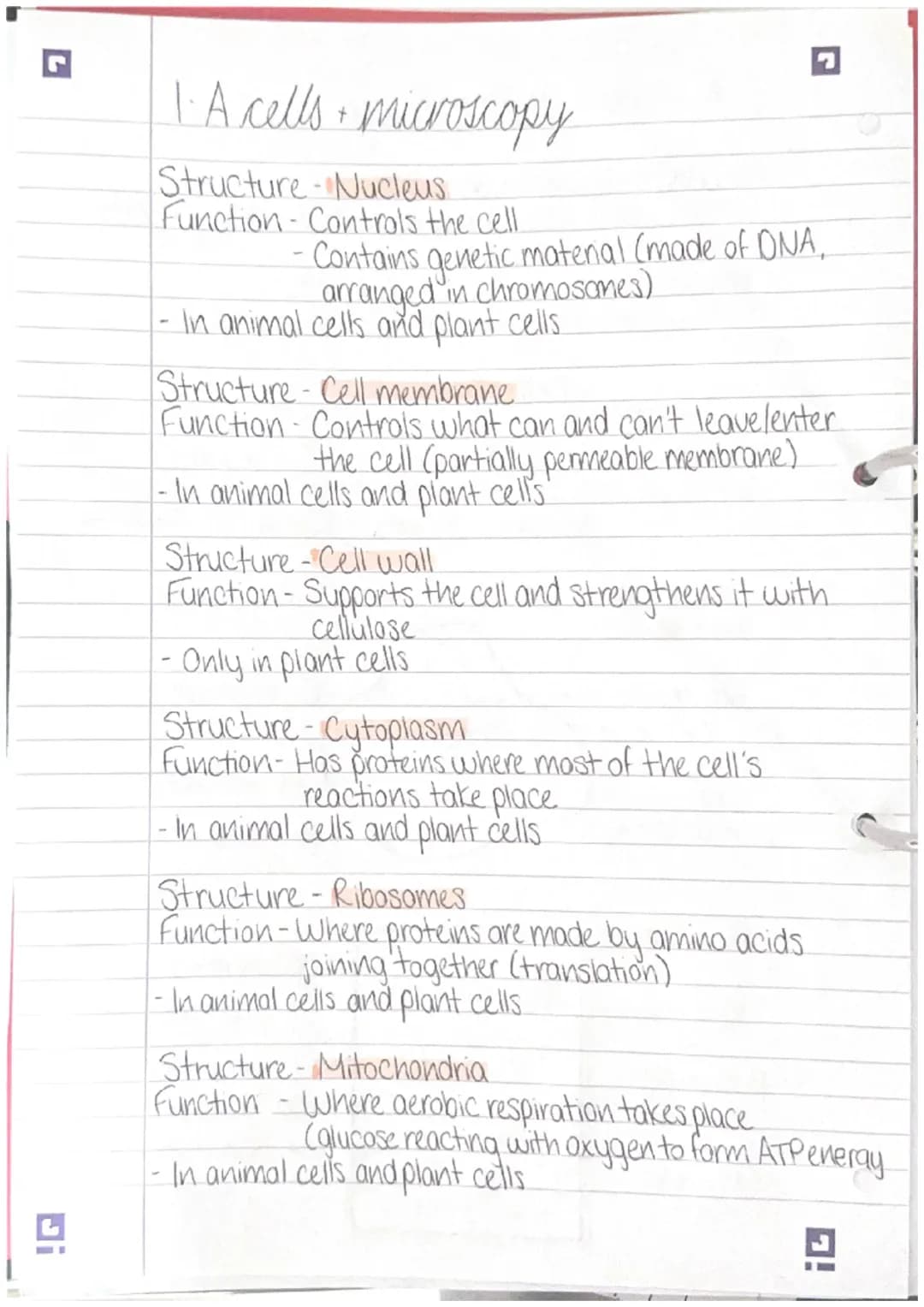 .
1.A cells • microscopy
All organisms are made of cells:
· Animals, plants and fungi are made of Eukaryotic cells.
-These have a nucleus
Ba