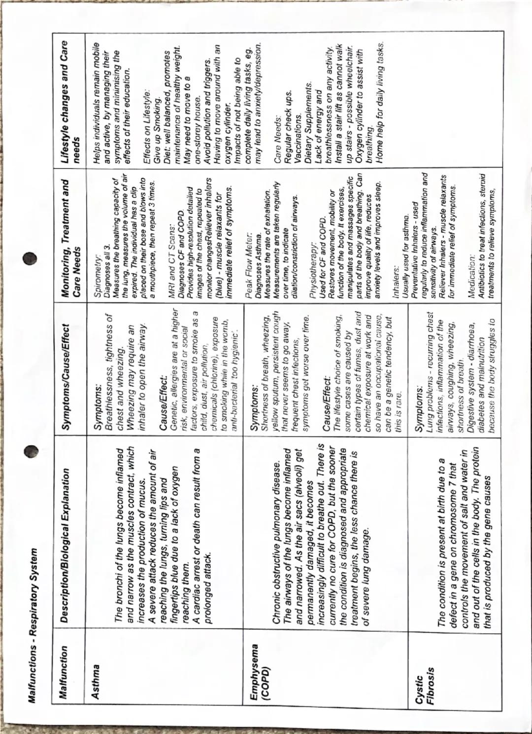 Understanding Respiratory System Malfunctions