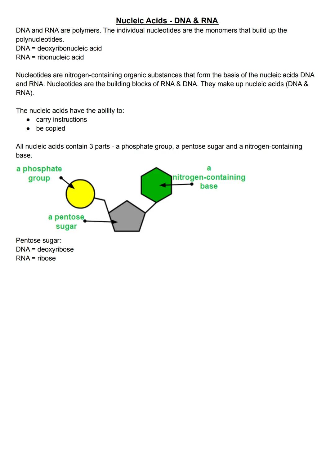 # Nucleic Acids - DNA & RNA

DNA and RNA are polymers. The individual nucleotides are the monomers that build up the
polynucleotides.
DNA = 