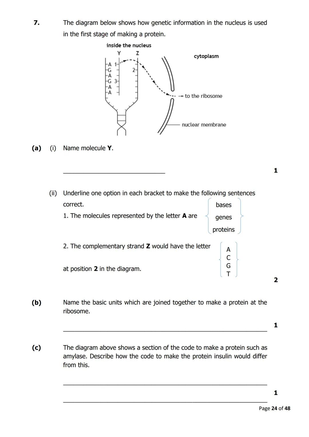 
<h2 id="cellstructure">Cell Structure</h2>
<p>The diagram below shows parts of a plant cell.</p>
<p>Which part of the cell is composed of c