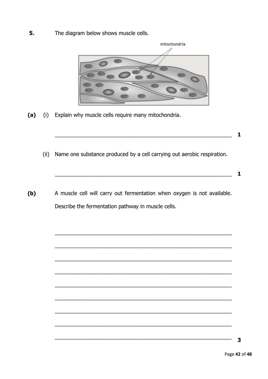 
<h2 id="cellstructure">Cell Structure</h2>
<p>The diagram below shows parts of a plant cell.</p>
<p>Which part of the cell is composed of c