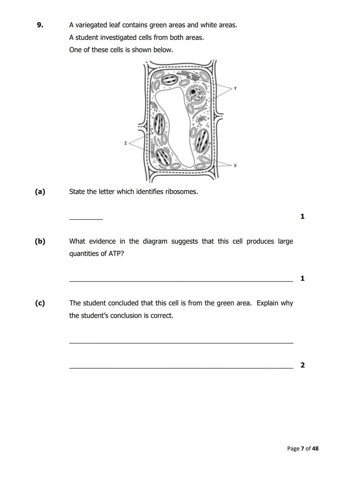 
<h2 id="cellstructure">Cell Structure</h2>
<p>The diagram below shows parts of a plant cell.</p>
<p>Which part of the cell is composed of c