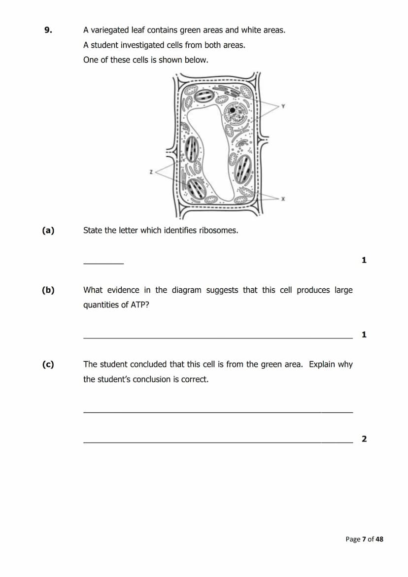 
<h2 id="cellstructure">Cell Structure</h2>
<p>The diagram below shows parts of a plant cell.</p>
<p>Which part of the cell is composed of c