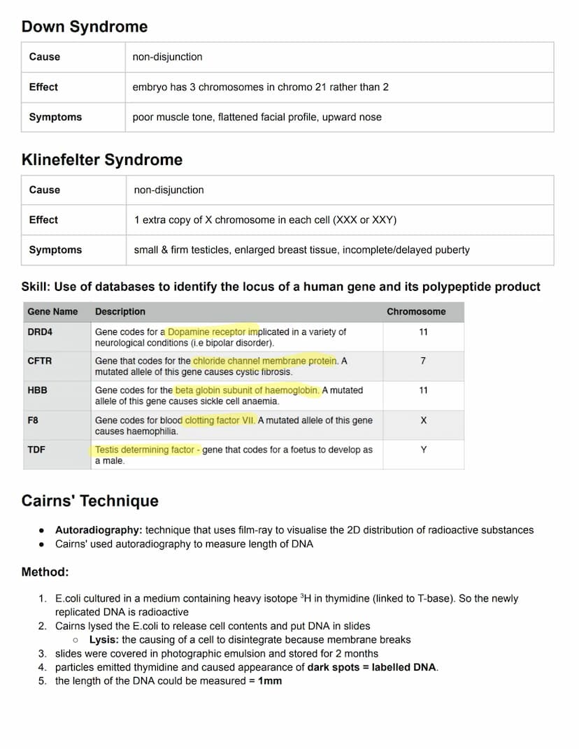 C3.1 Genes
● Gene: particular section of DNA strand that forms a specific protein. It is a heritable factor that influences a
characteristic