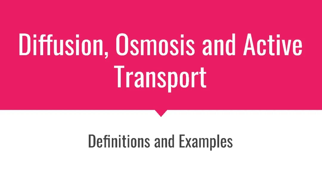 Diffusion, Osmosis & Active Transport