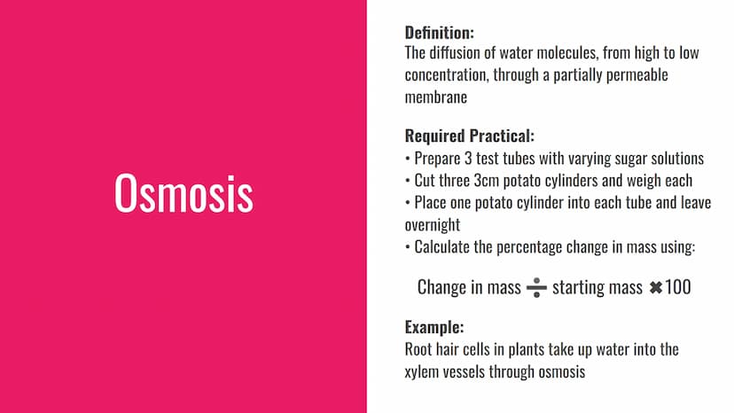 Diffusion, Osmosis and Active
Transport
Definitions and Examples Diffusion
Definition:
The net movement of particles in a gas or
solution fr