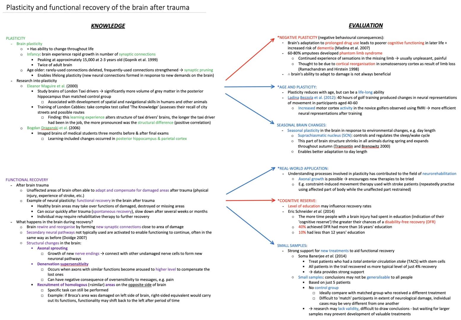 # Plasticity and functional recovery of the brain after trauma

KNOWLEDGE

EVALUATION

PLASTICITY

*NEGATIVE PLASTICITY (negative behavioura