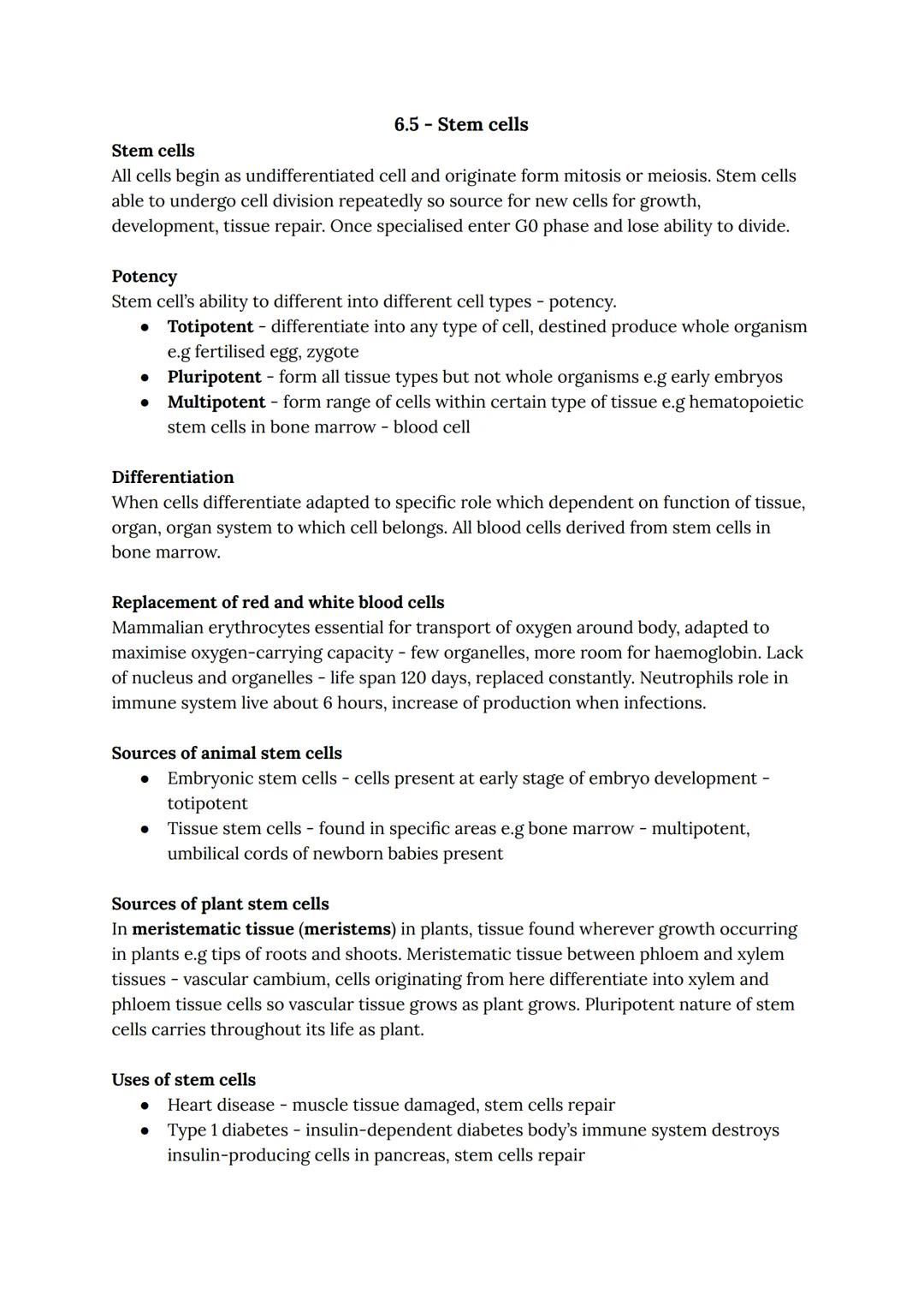 A Level Biology OCR Notes: Stem Cells Overview