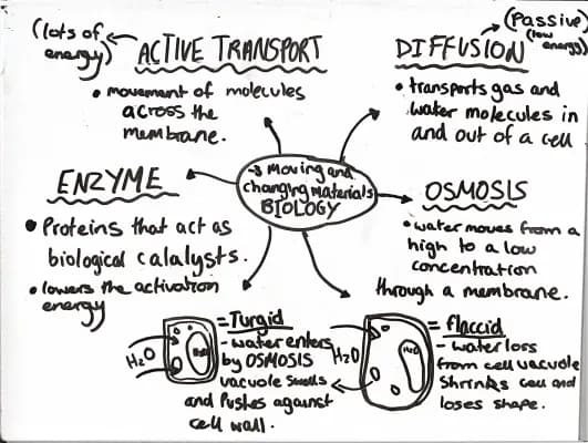 Know Biology revision-3 moving and changing materials  thumbnail