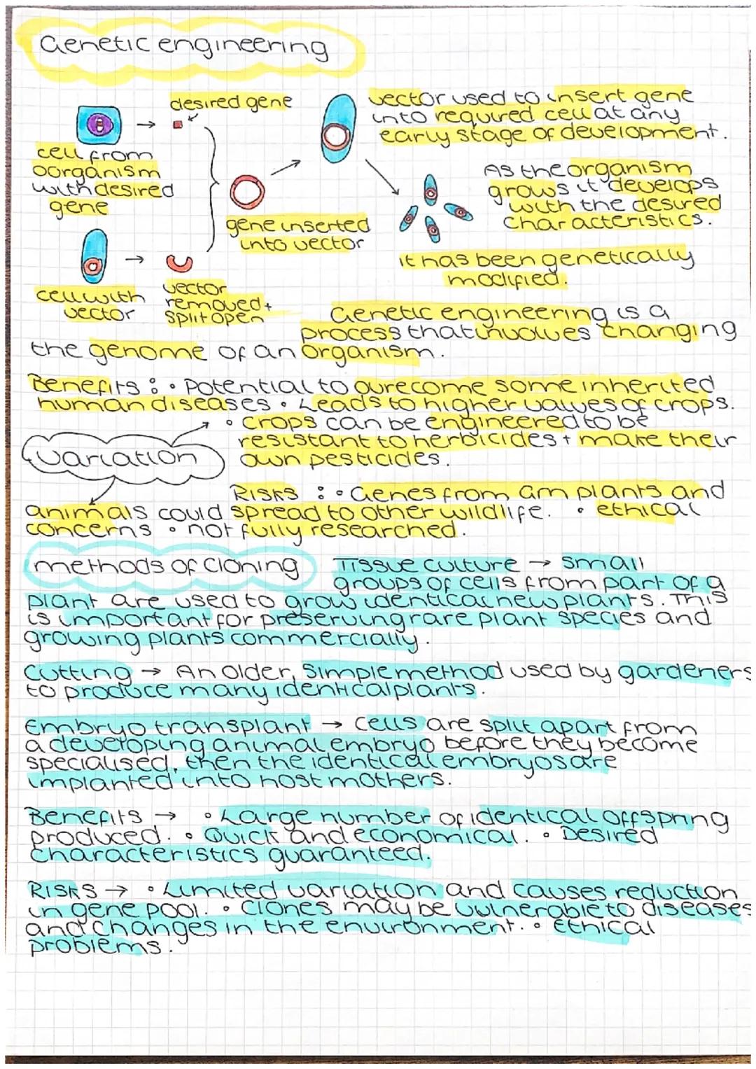 Genetic engineering
cell from
oorganism
with desired
gene
O
desired gene
cell with
vector
Jariation
vector used to insert gene
into required