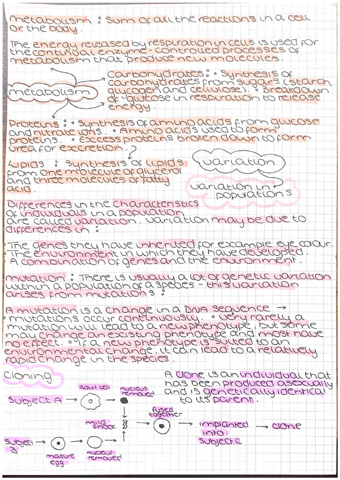 Genetic engineering
cell from
oorganism
with desired
gene
O
desired gene
cell with
vector
Jariation
vector used to insert gene
into required