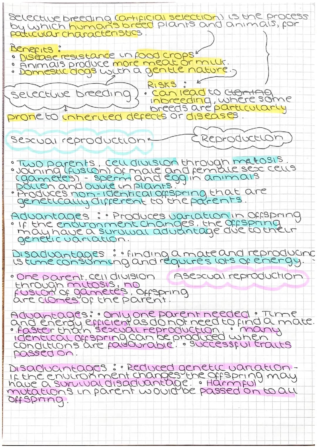 Genetic engineering
cell from
oorganism
with desired
gene
O
desired gene
cell with
vector
Jariation
vector used to insert gene
into required