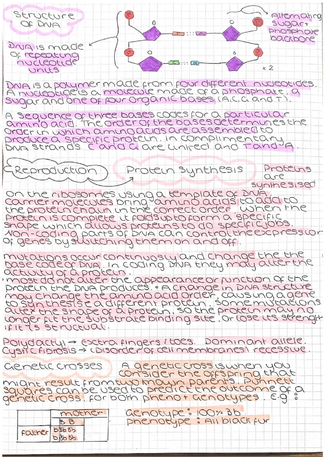 Genetic engineering
cell from
oorganism
with desired
gene
O
desired gene
cell with
vector
Jariation
vector used to insert gene
into required