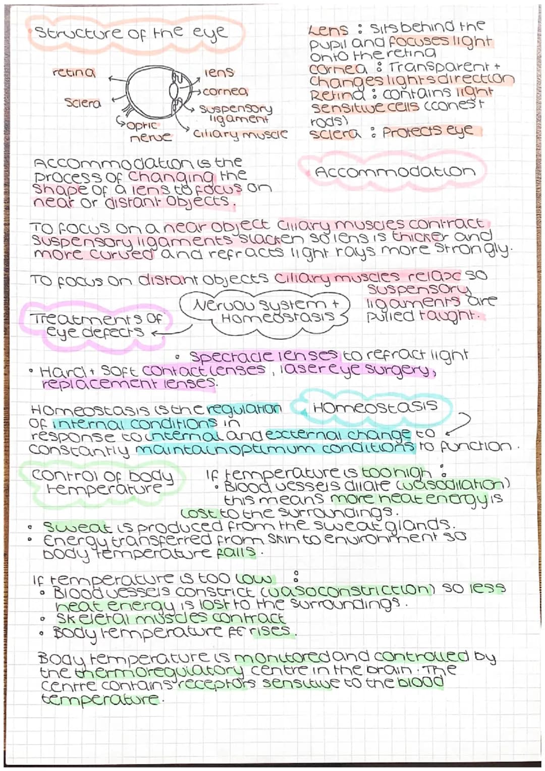 Genetic engineering
cell from
oorganism
with desired
gene
O
desired gene
cell with
vector
Jariation
vector used to insert gene
into required