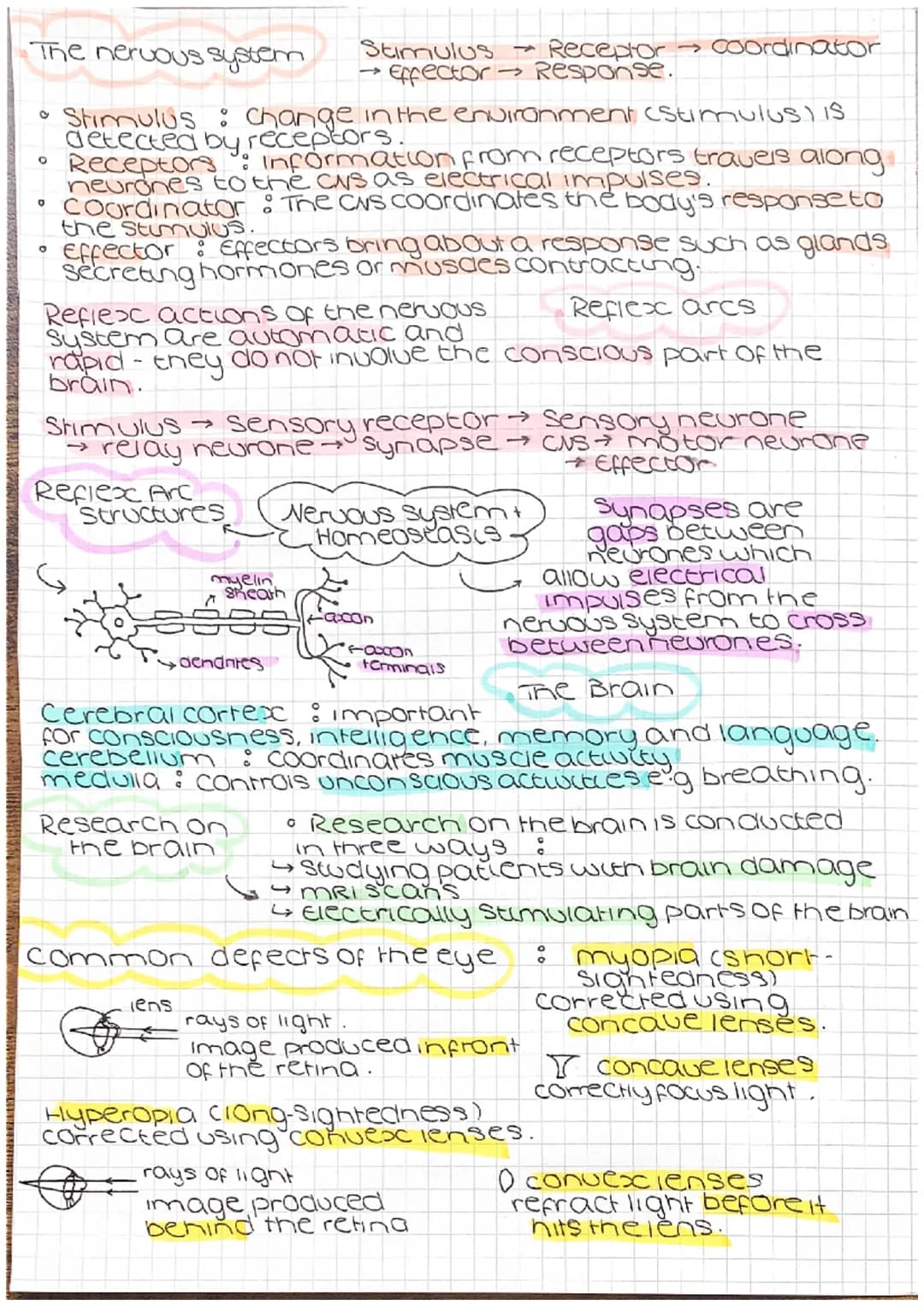 Genetic engineering
cell from
oorganism
with desired
gene
O
desired gene
cell with
vector
Jariation
vector used to insert gene
into required