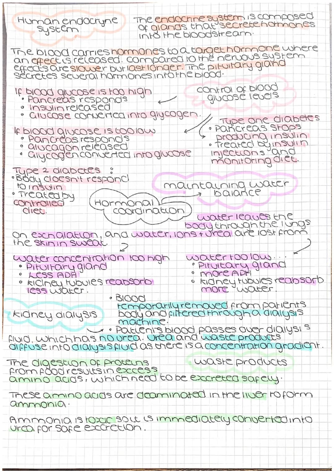 Genetic engineering
cell from
oorganism
with desired
gene
O
desired gene
cell with
vector
Jariation
vector used to insert gene
into required