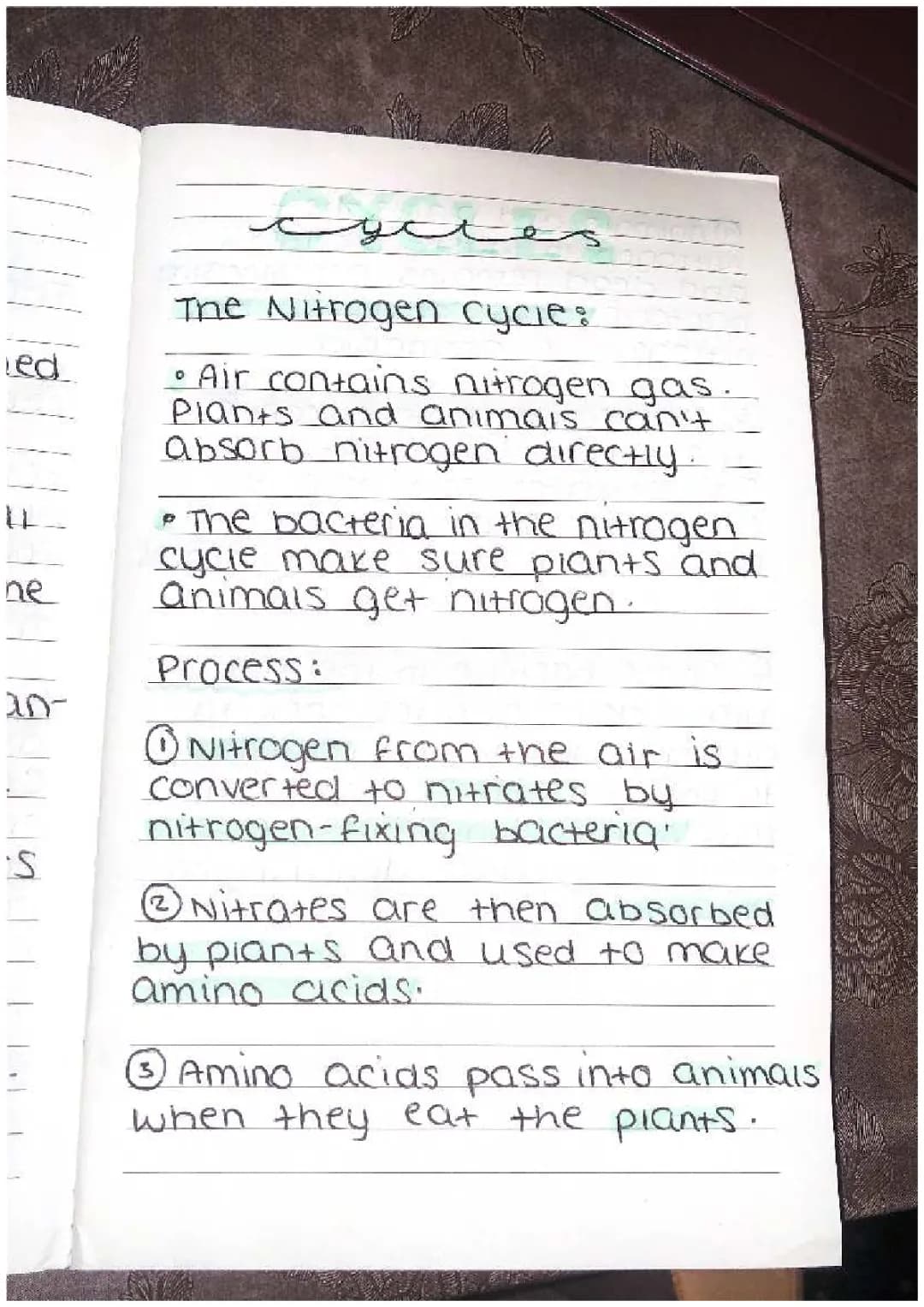 B4- The nitrogen cycle.  Biology 