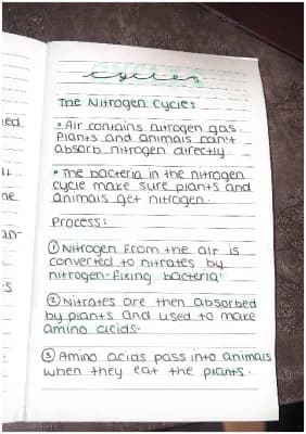 Know B4- The nitrogen cycle.  Biology  thumbnail