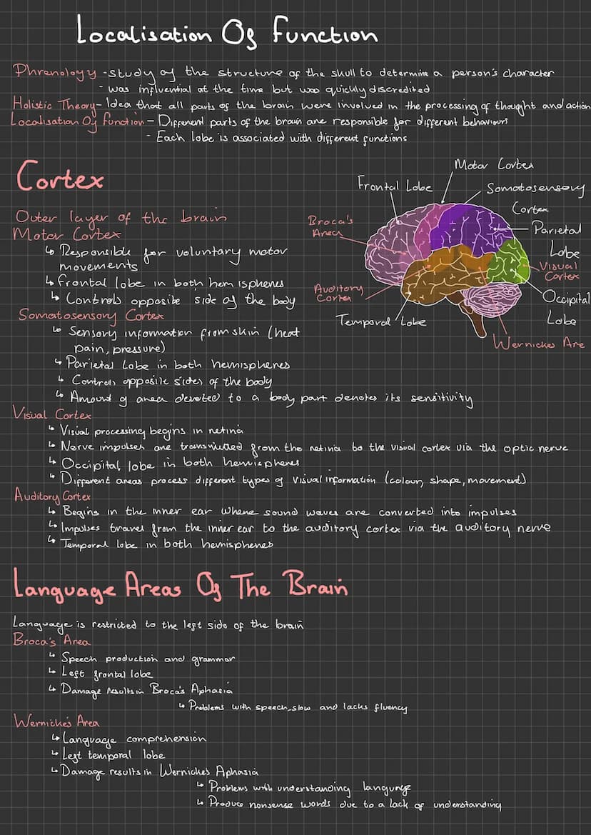 
<p>The Central Nervous System (CNS) is a complex network that allows different parts of the body to communicate with each other. It consist