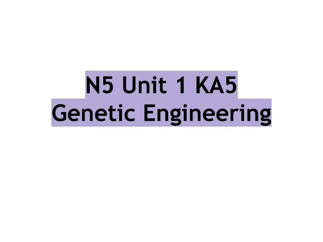 Cool N5 Biology Study Notes on Genetic Engineering in Bacteria