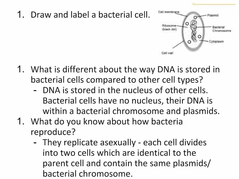 N5 Unit 1 KA5
Genetic Engineering N5 biology course
1. Cell Biology
2. Multicellular Organisms
3. Life on Earth Unit 1 Cell Biology
1. Cell 